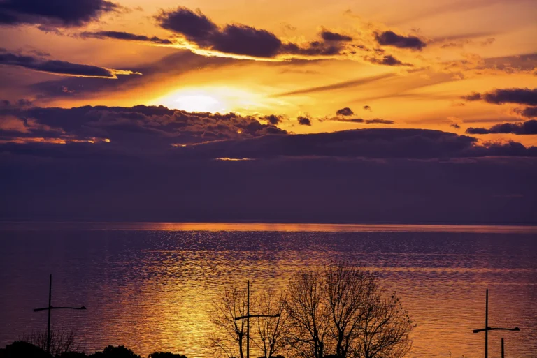 WALLPAPER (125)