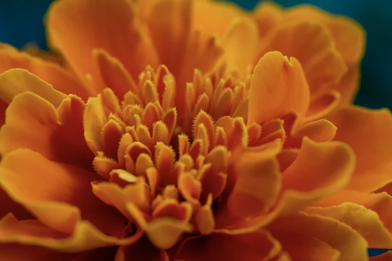 WALLPAPER (143)