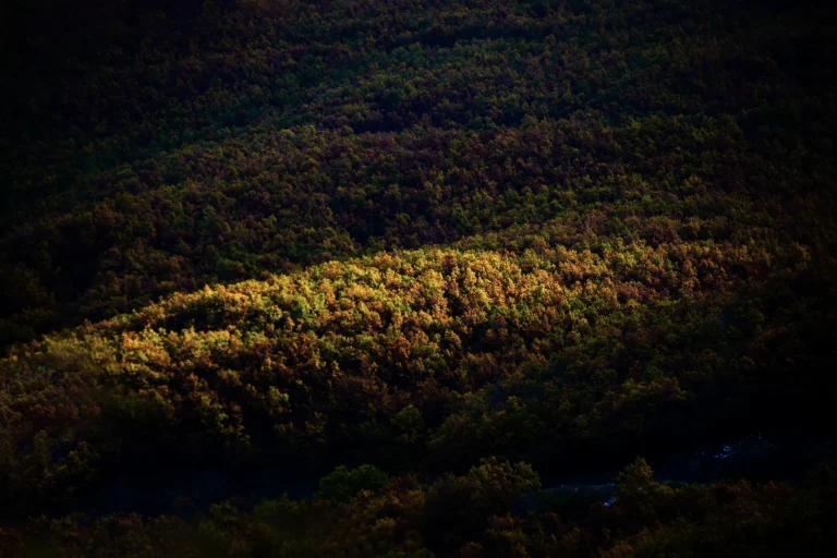 WALLPAPER (3)