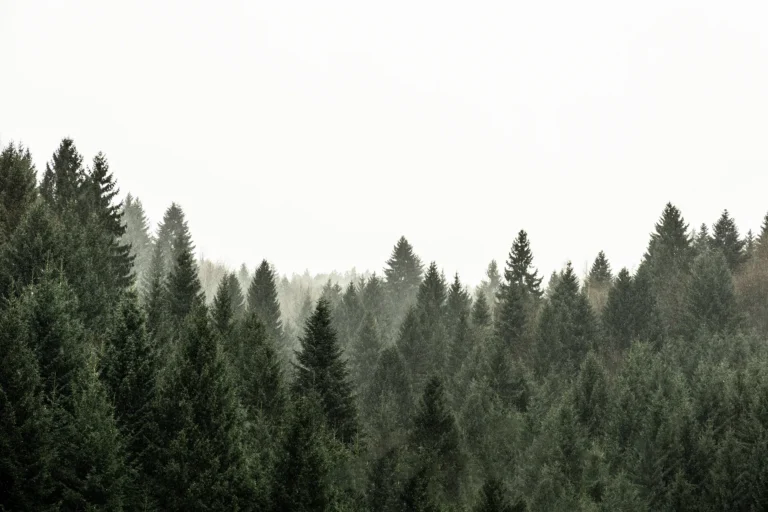 WALLPAPER (30)