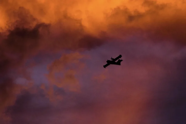 WALLPAPER (83)