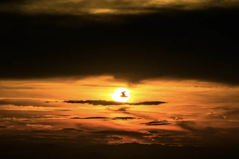 WALLPAPER (94)