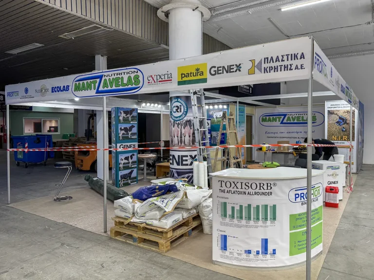 ΕΚΔΗΛΩΣΕΙΣ (8)