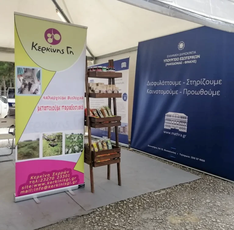 ΠΡΟΜΟ (9)